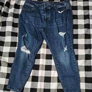 Maurices Distressed Blue Jeans